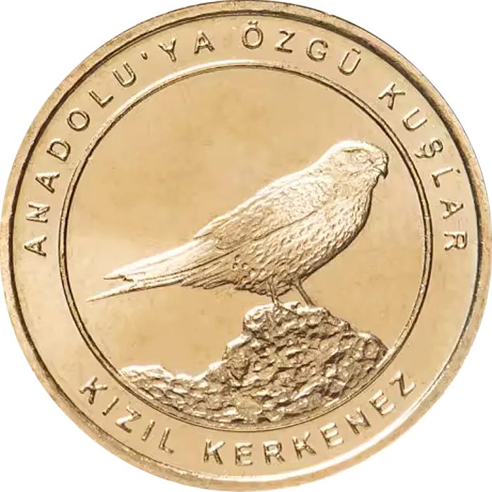 Kızıl Kerkenez